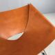 Pierre Paulin AP-14 cognac leather armchair for A. Polak, 1955