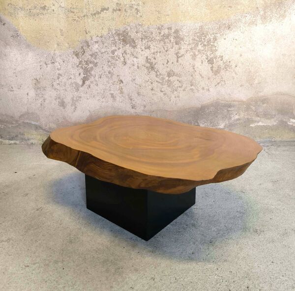 Table basse, plateau tronc d'arbre