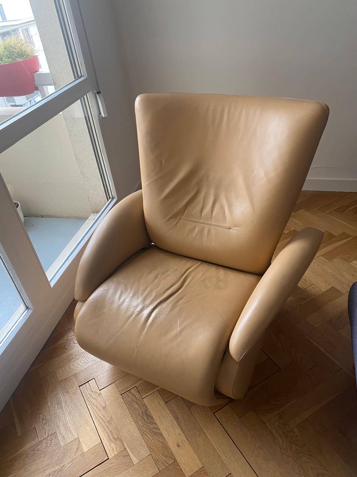 Fauteuil De Sede DS-260