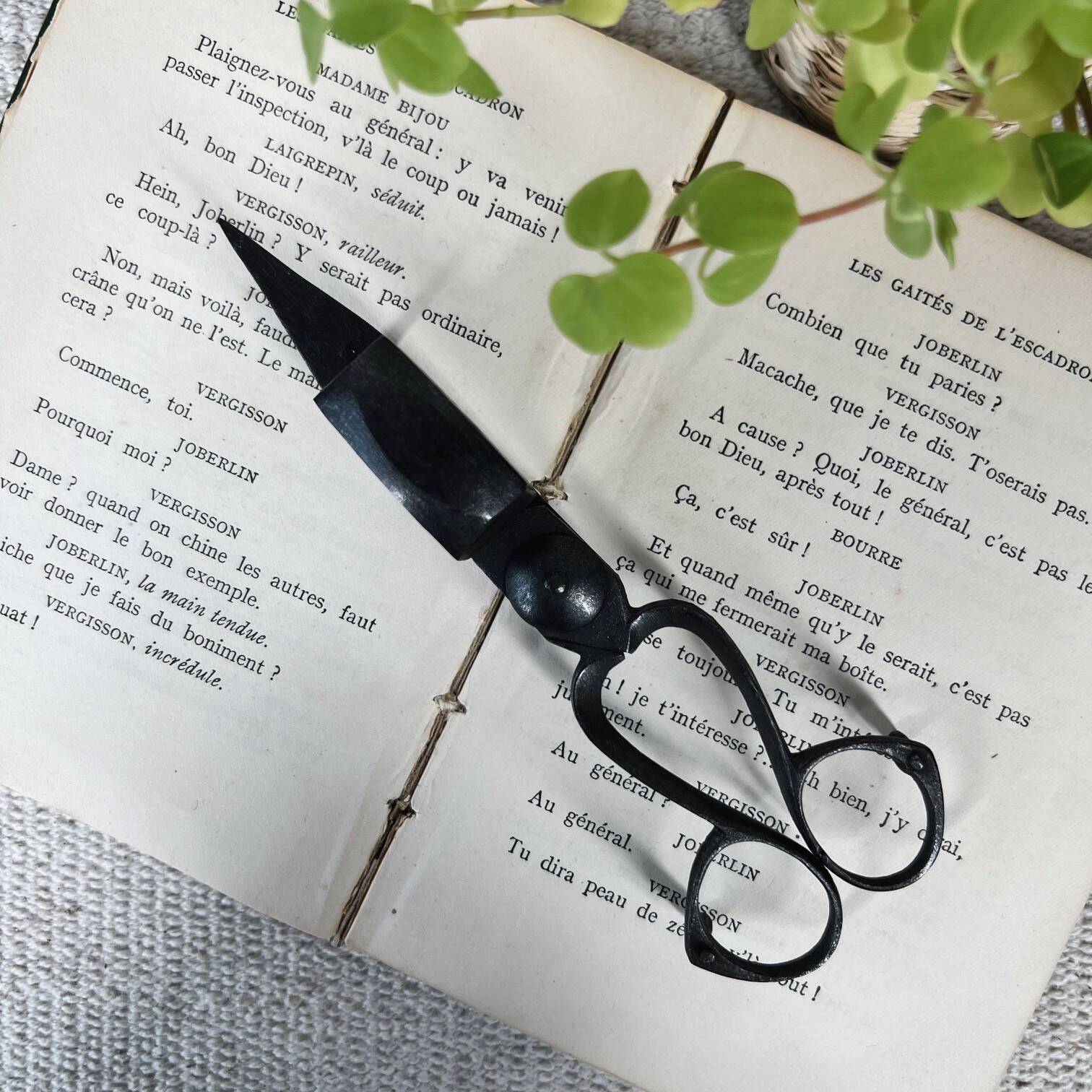 Old pair of scissors or candle snuffer