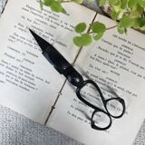 Old pair of scissors or candle snuffer