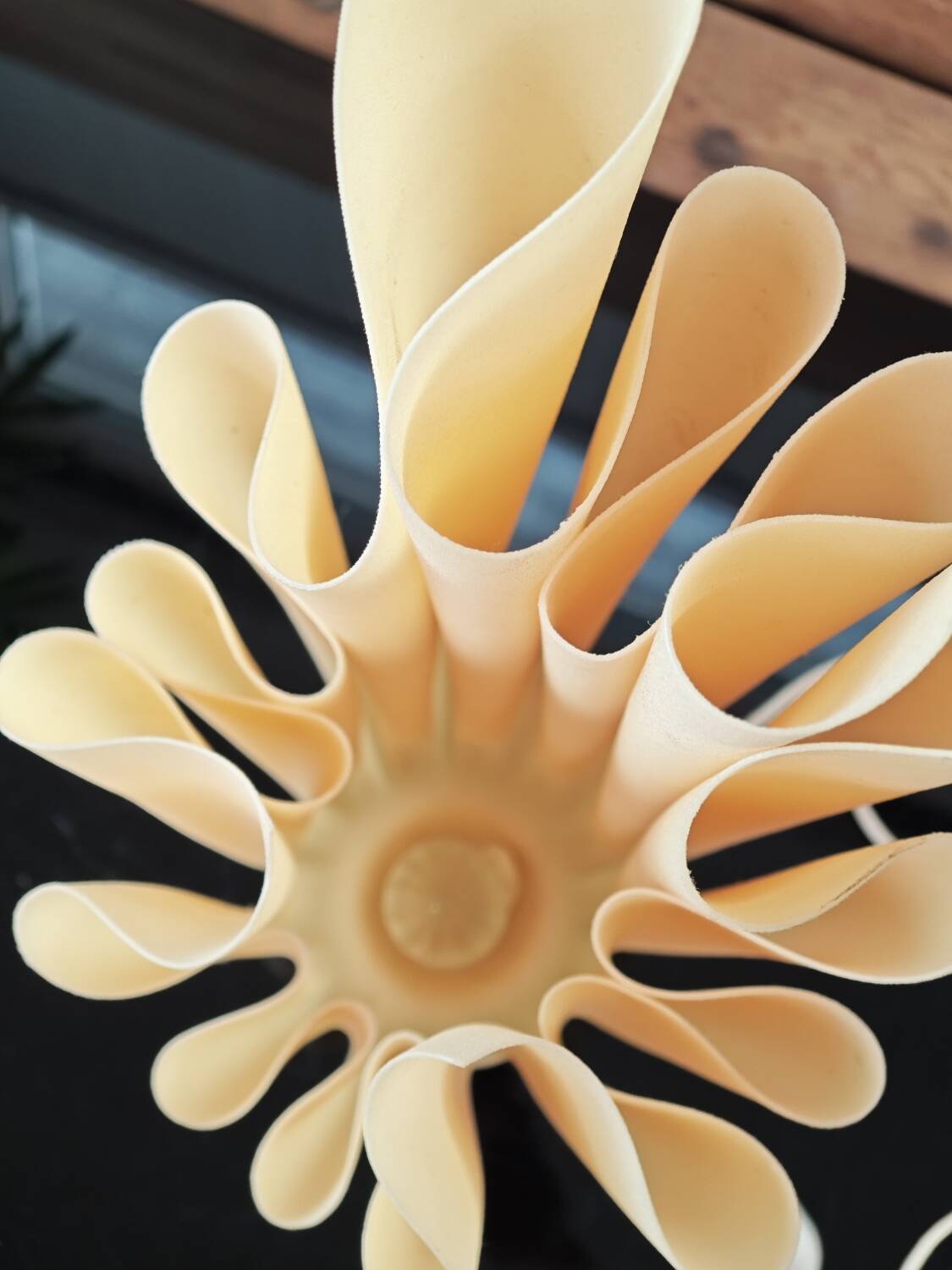 Athena Lamp by Georgia Jacob