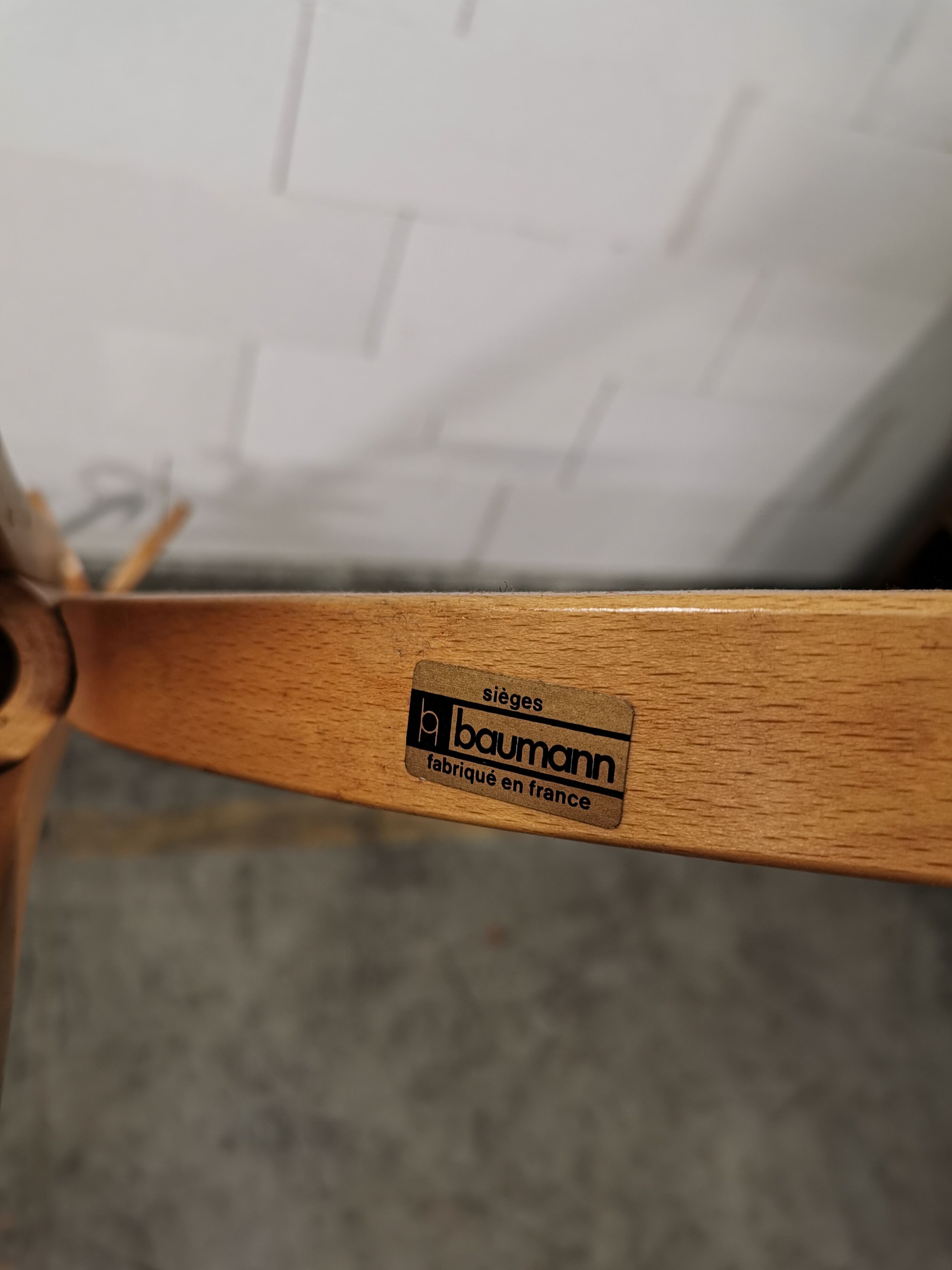 Baumann parrot coat holder