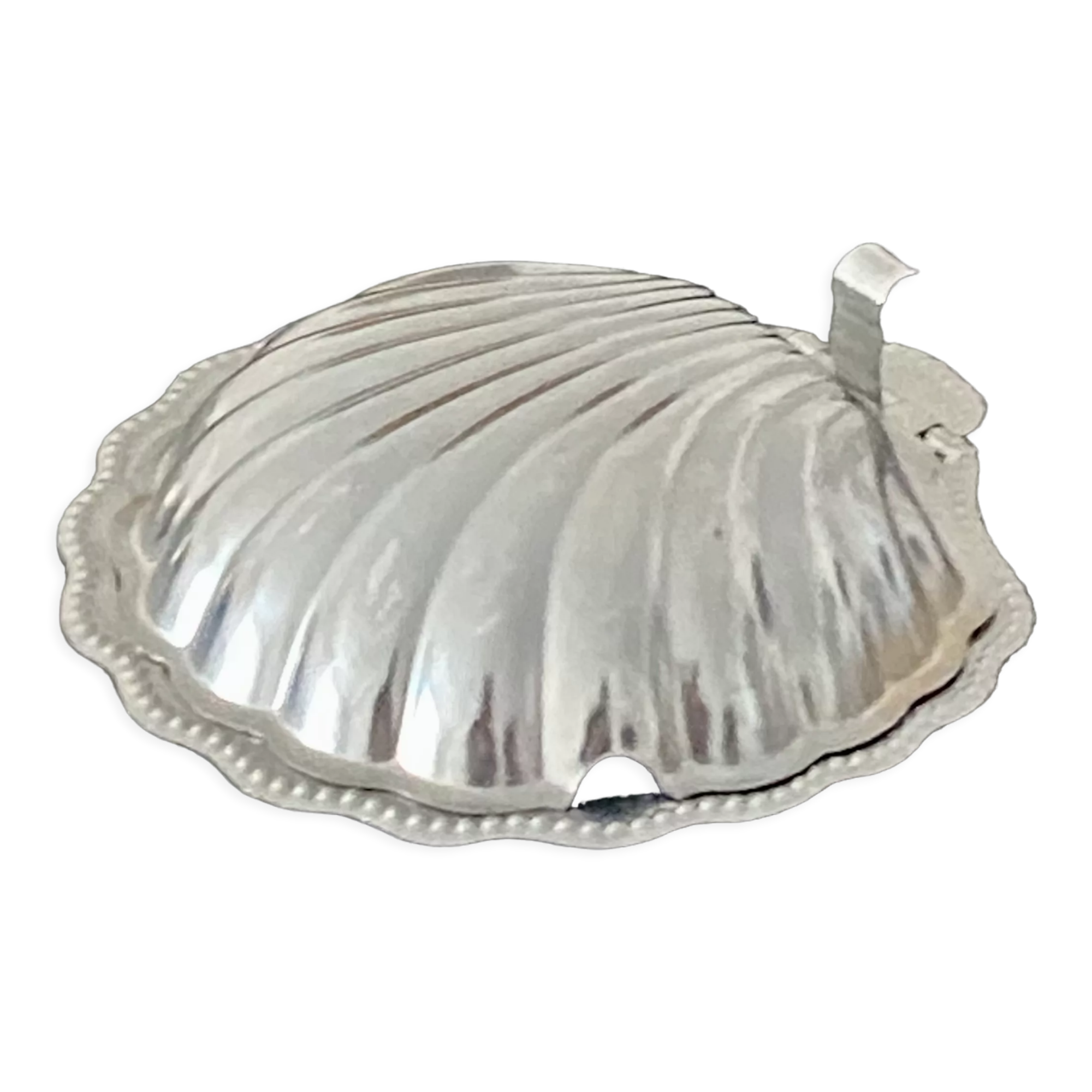Stainless steel shell butter dish