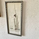 Botanical plate 1830, glazed wooden frame