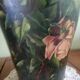 Double-handled vase with roses by Georges Weissenburger, École de Nancy.