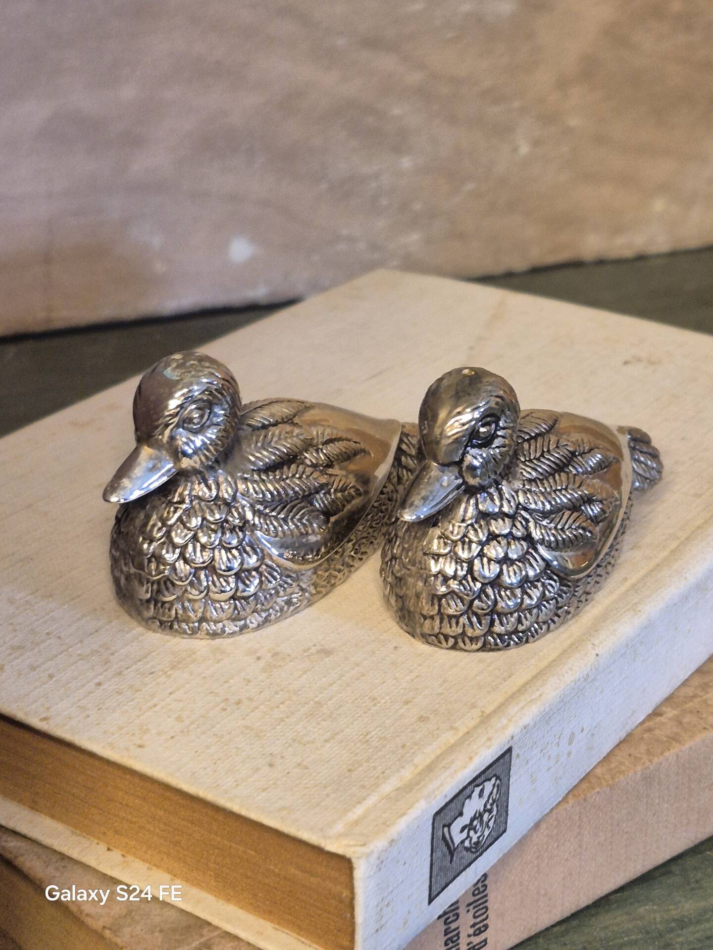 Salière canard