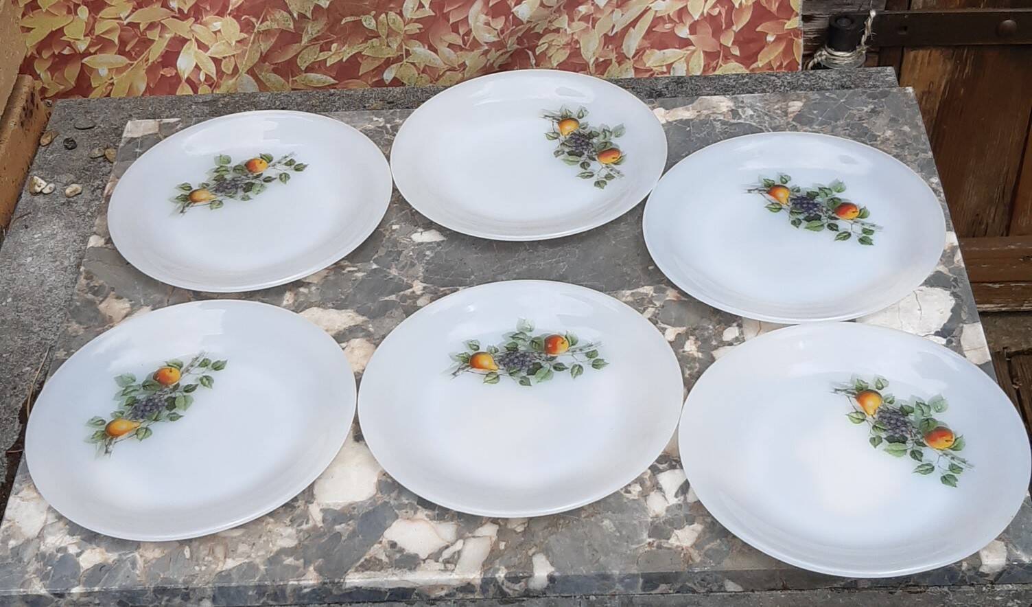 Lot de 6 assiettes à dessert arcopal