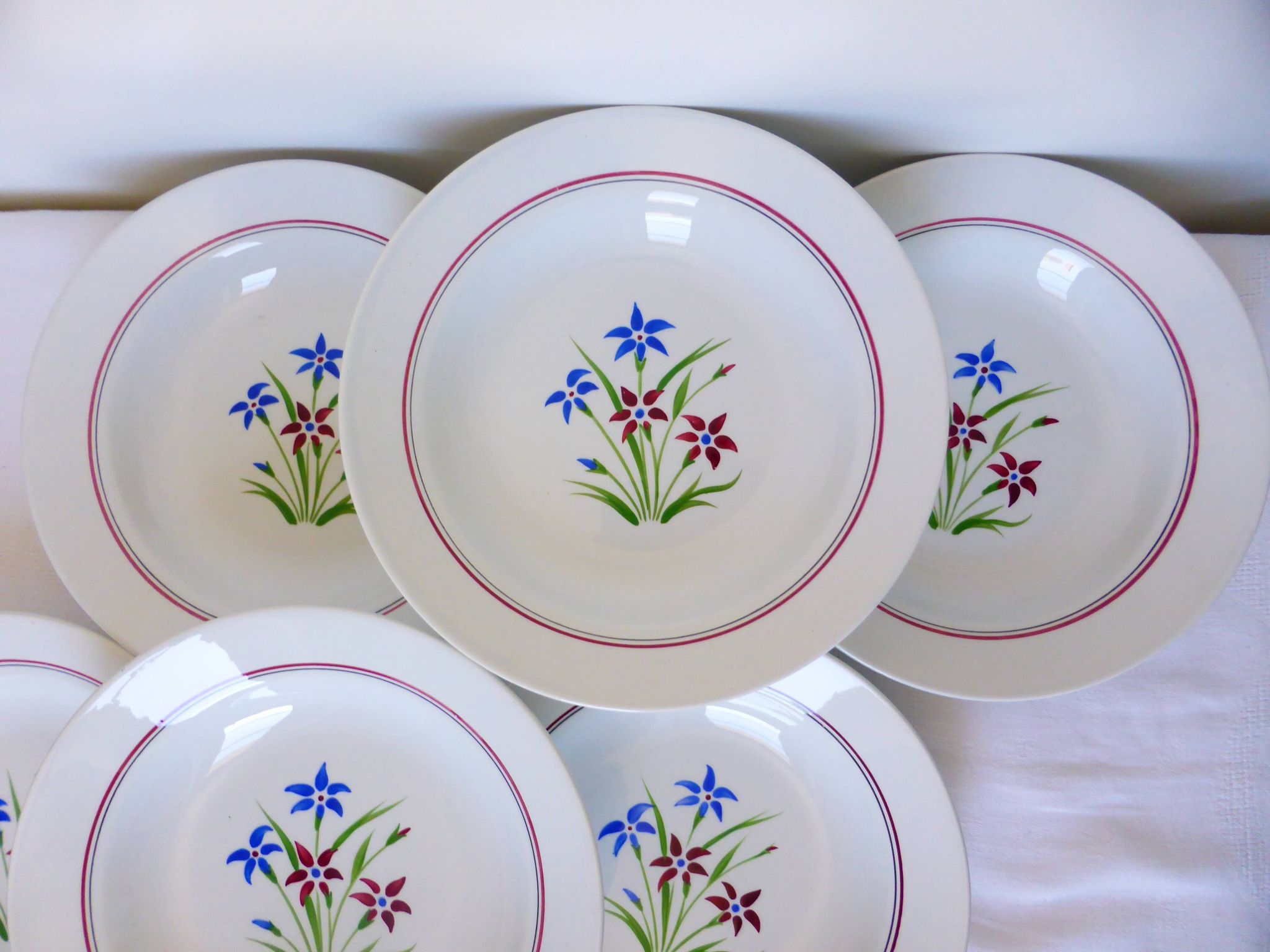 6 assiettes creuses des Salins modèle Lily