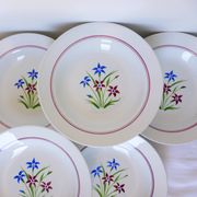 6 assiettes creuses des Salins modèle Lily