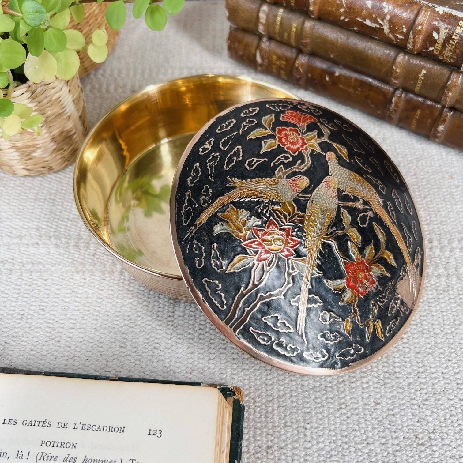 Parrots brass box