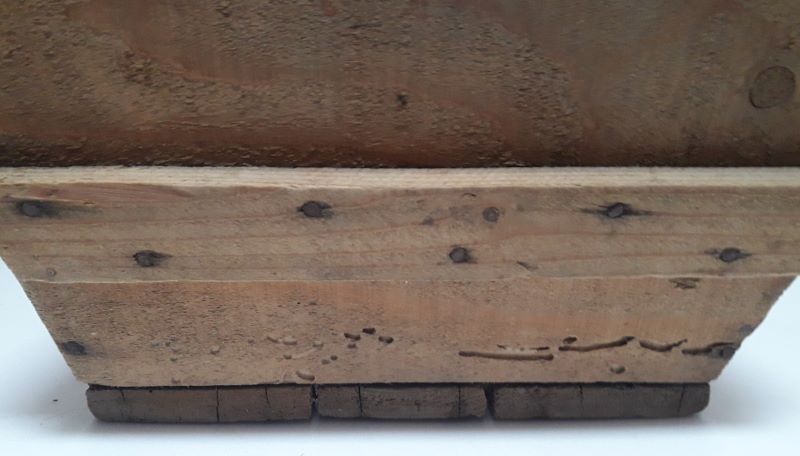 Wooden box trapezoidal