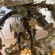 Lamp Tief signed – model clusters type Athena – blown glass paste