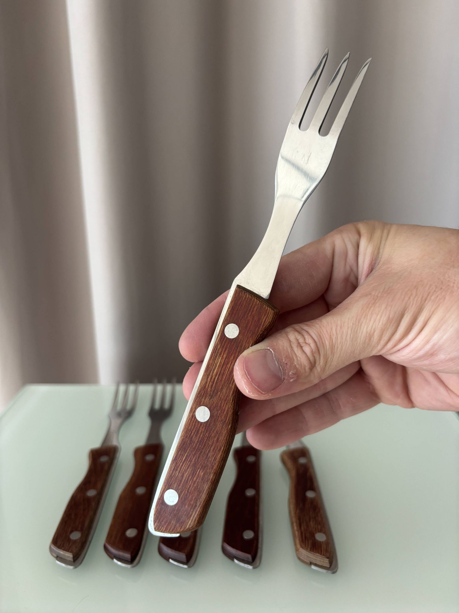 Set of 6 Vintage Sakana Japan Forks | Stainless Steel & Wood Handles