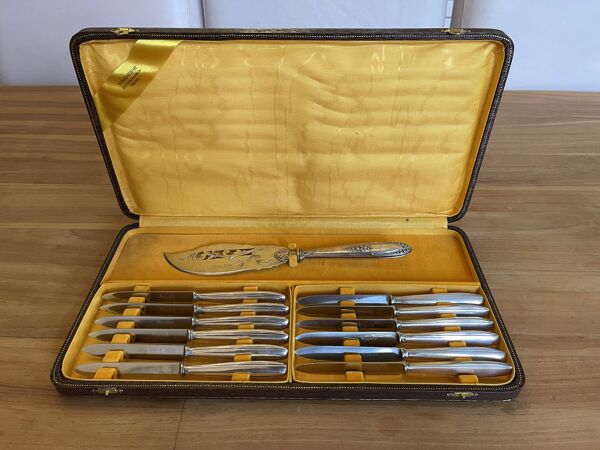 Coffret de 12 couteaux en métal argenté Argental  17 cm