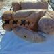 Pair of Old Leather Boxing Gloves