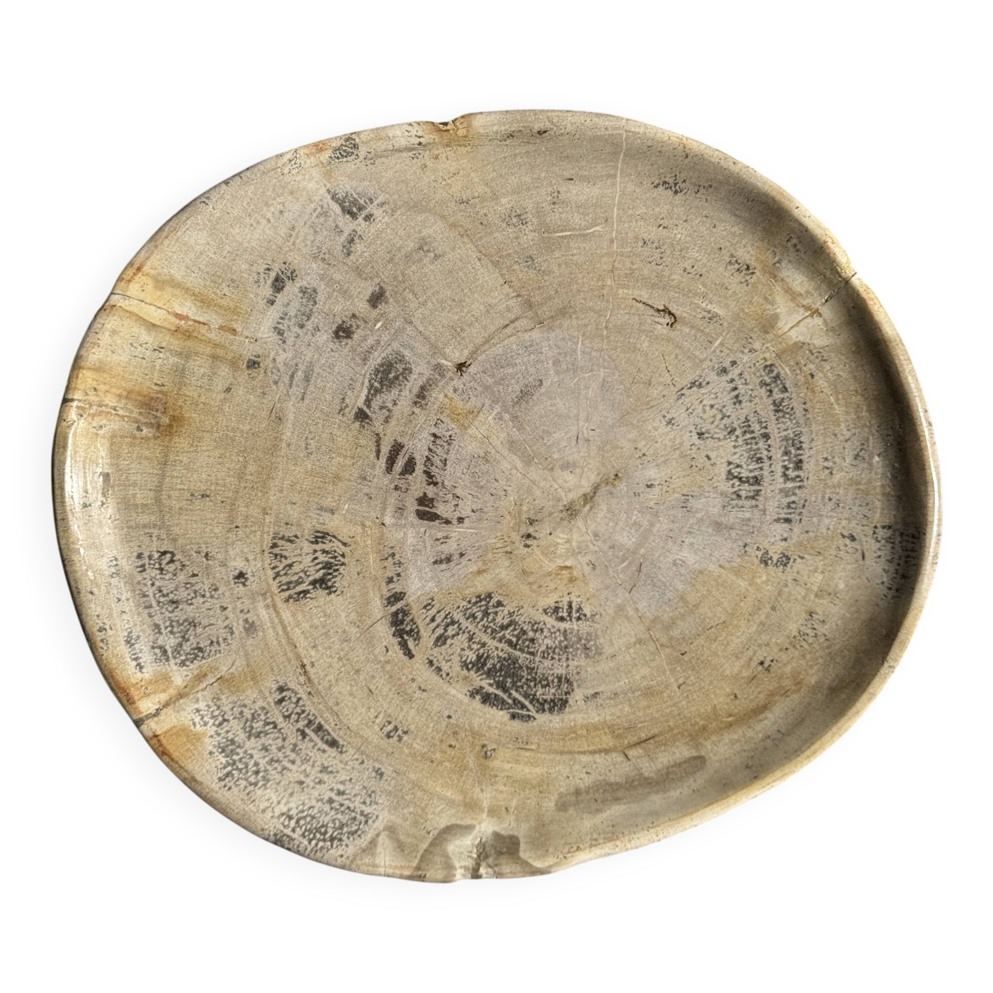 Oval petrified wood dish or bowl with grey edges D28x24 -3779