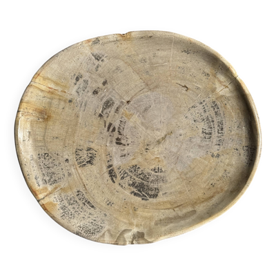 Vide poche ou plat en bois pétrifié ovale cernes grises D28x24 -3779