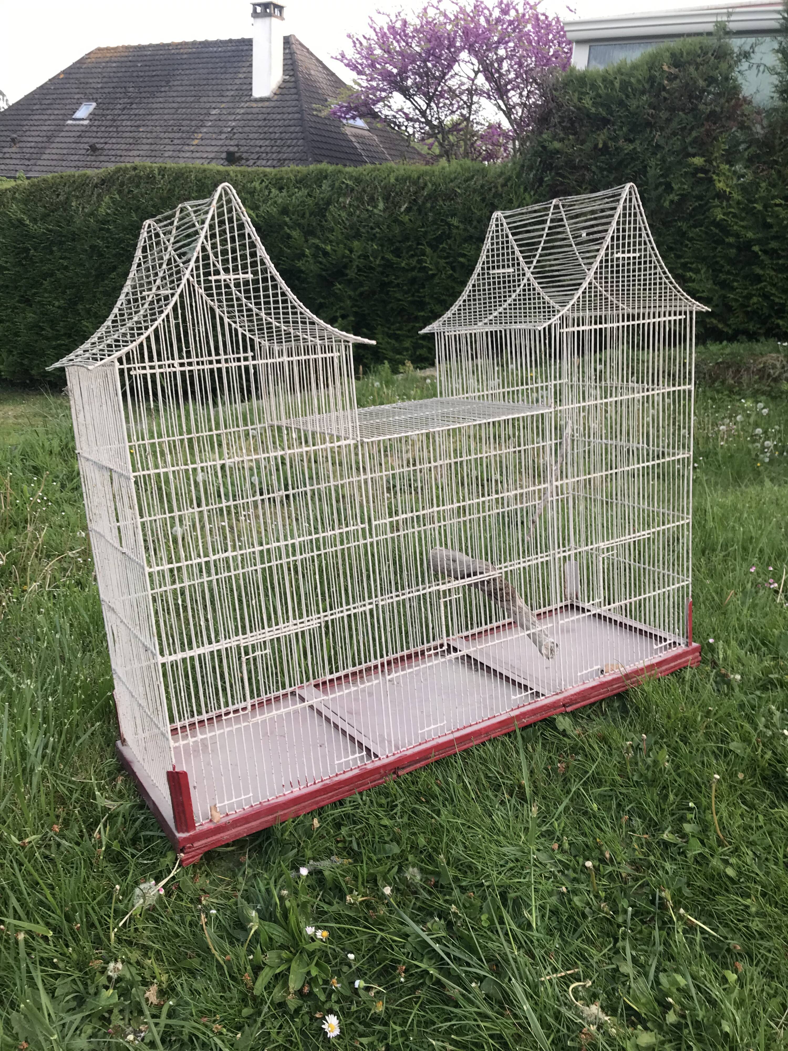 Bird cage