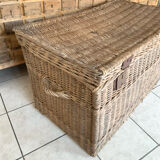 Old trunk