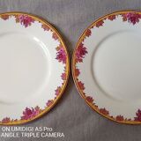 Limoges porcelain by André François (1919-1934) - 12 plates + 1 dish