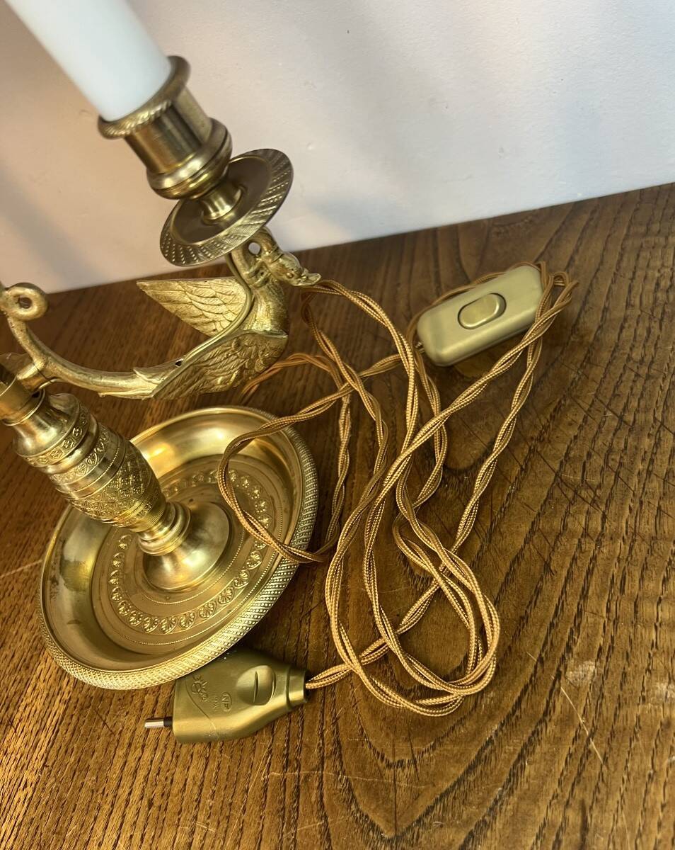Lampe bouillotte cygnes