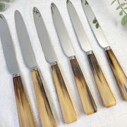 Lot de 6 couteaux de table vintage en corne