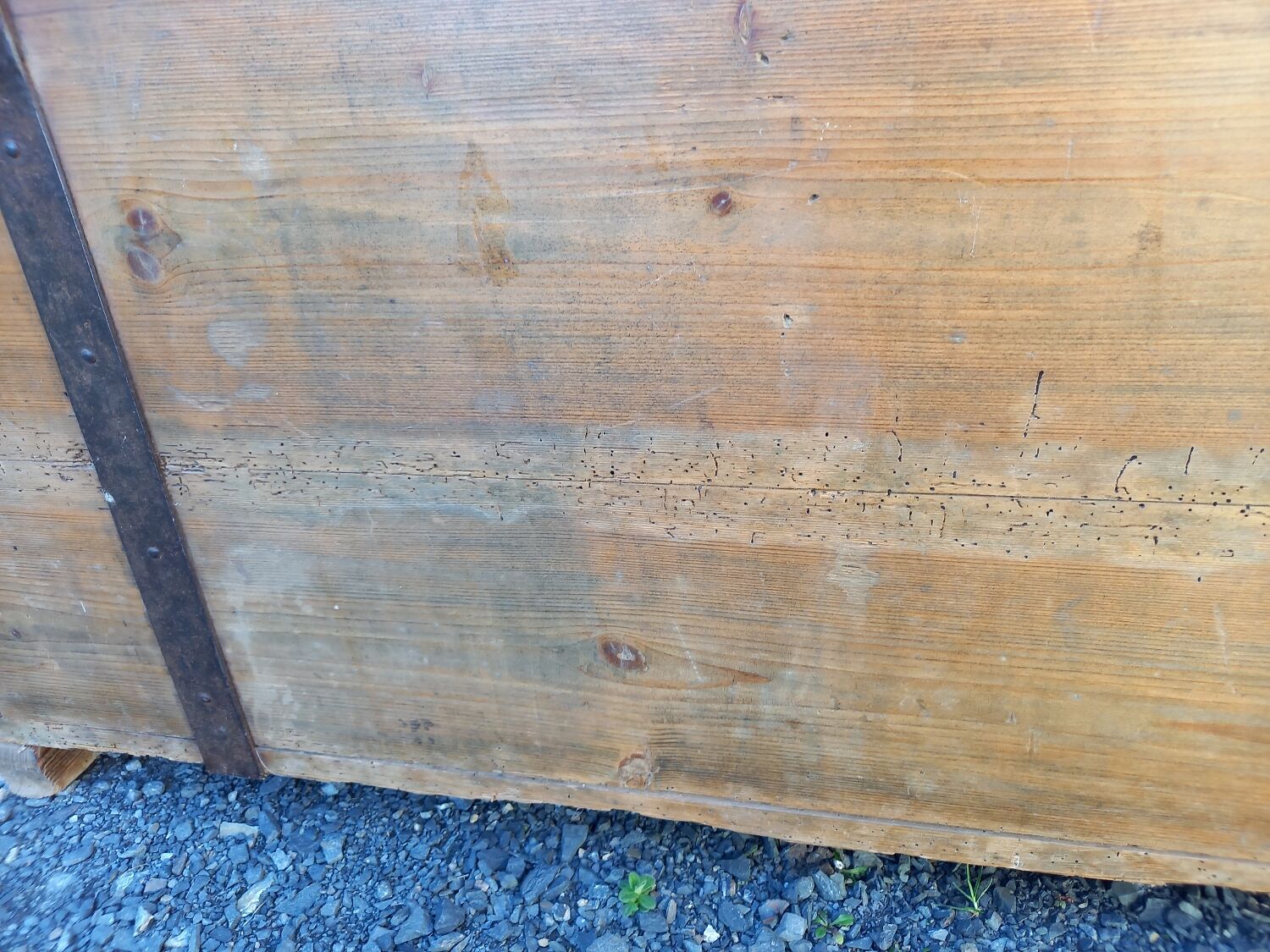 Old fir chest