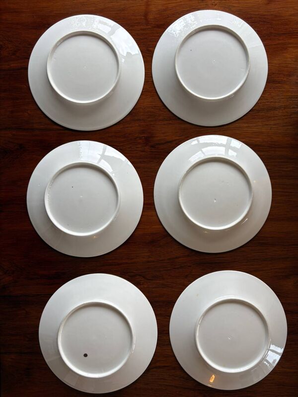 6 assiettes anciennes en porcelaine décor aux barbeaux