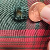 Vintage chaise longue daybed 1960"