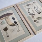 Deux anciennes gravures de champignons aquarellées XIXème siècle d'après G. Bernard