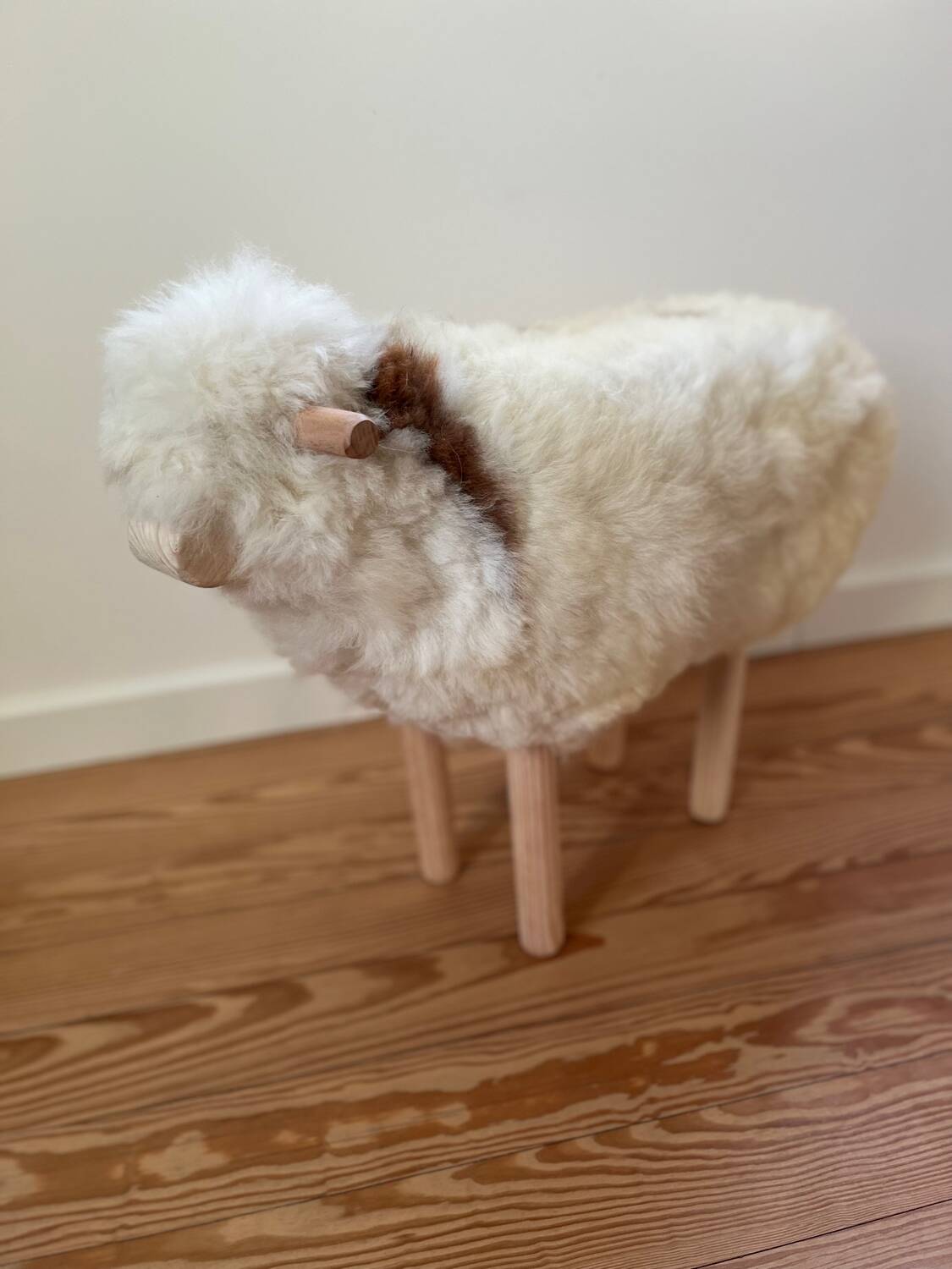Sheep