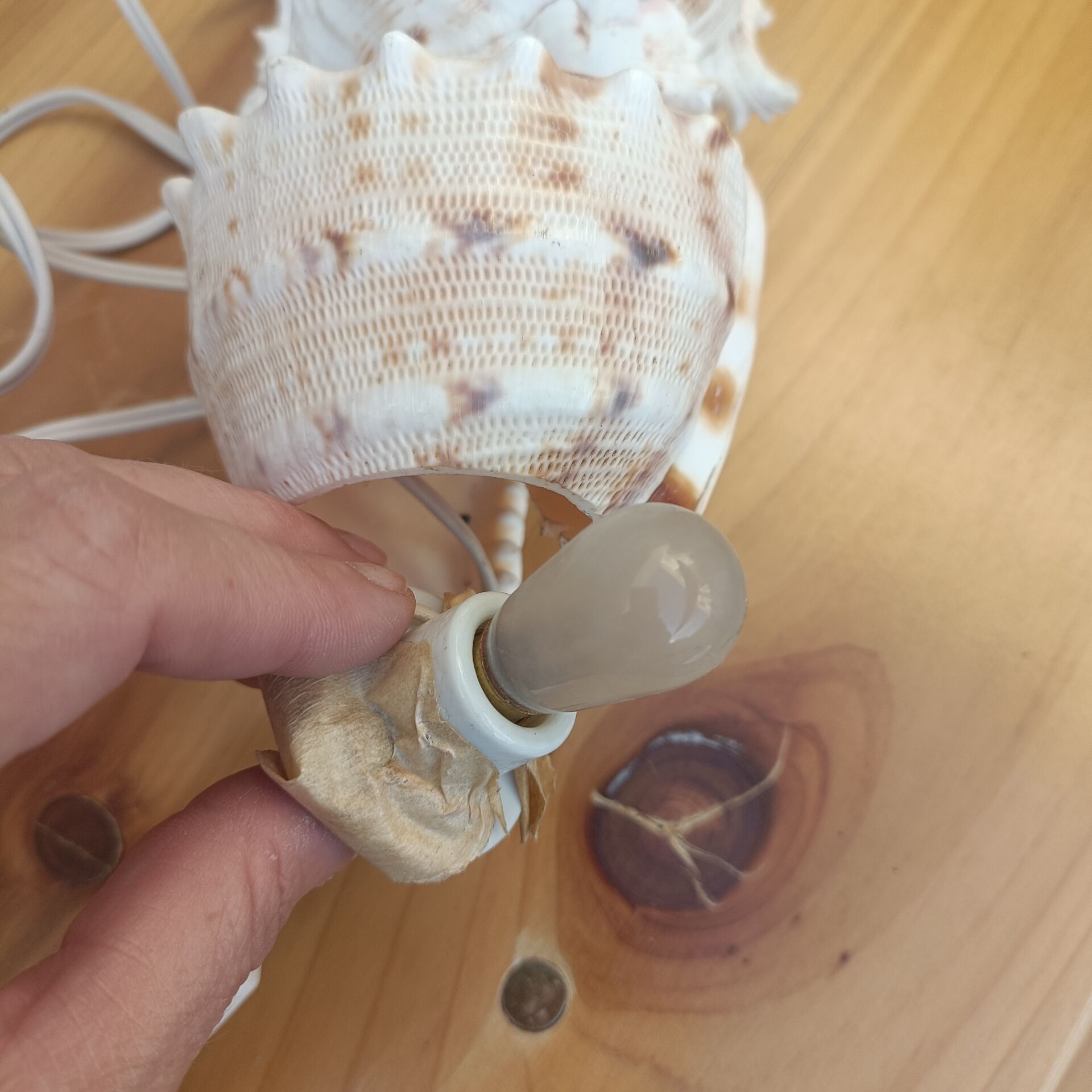 Shell lamp 60's