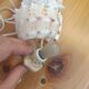Shell lamp 60's