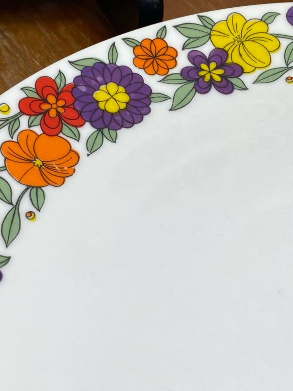 Assiettes plates en porcelaine Bavaria