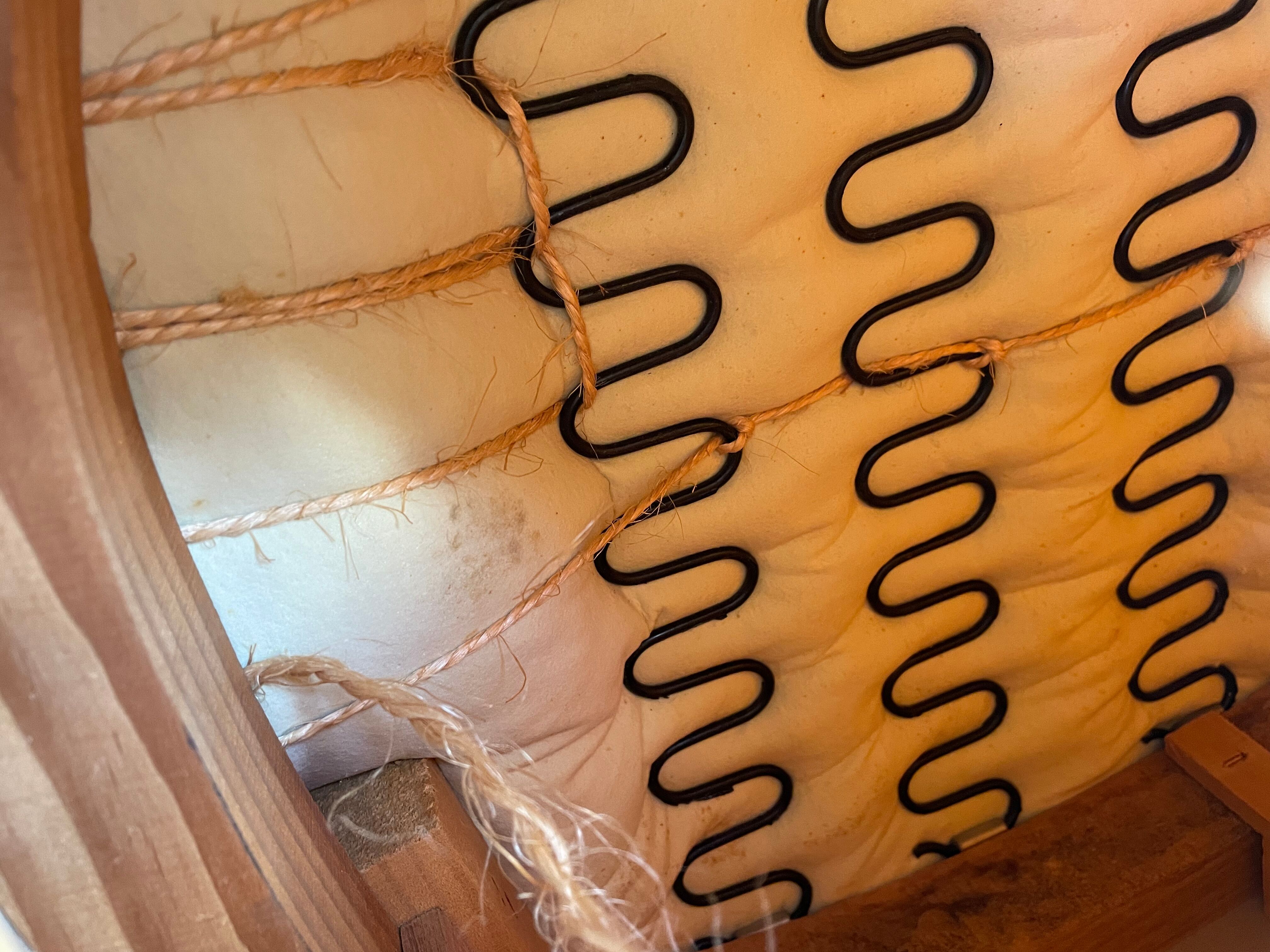 Padded golden yellow velvet toad