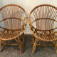Pair of rattan shell armchairs 60s