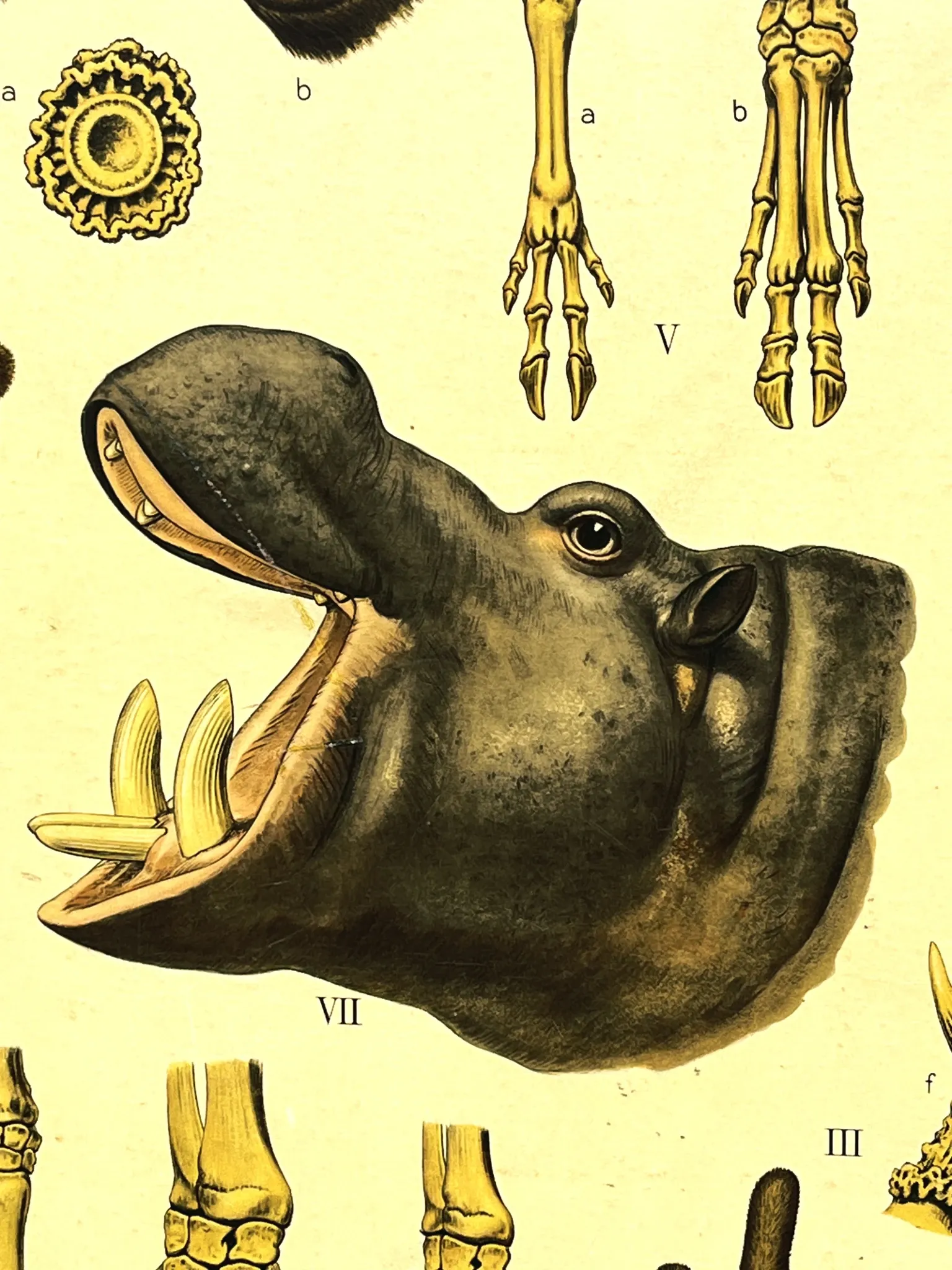 School poster J.B. Wolters