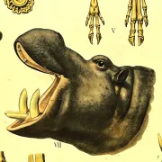 School poster J.B. Wolters