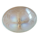 Lalique cup