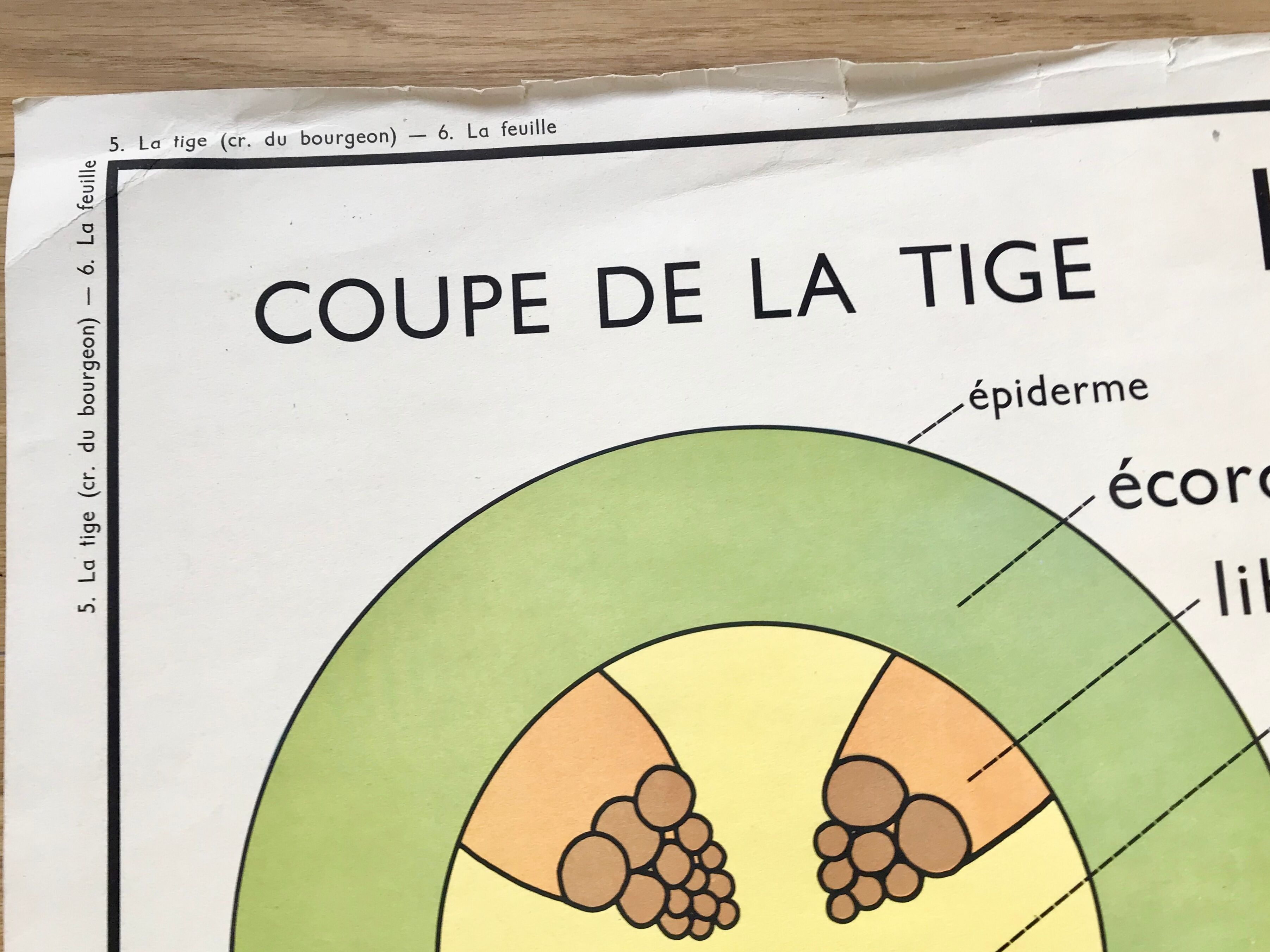 Rossignol pedagogical poster