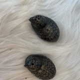 Partridge salt and pepper shaker