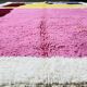 Beni Ouraine handwoven rug, traditional style, size 100 x 200 cm