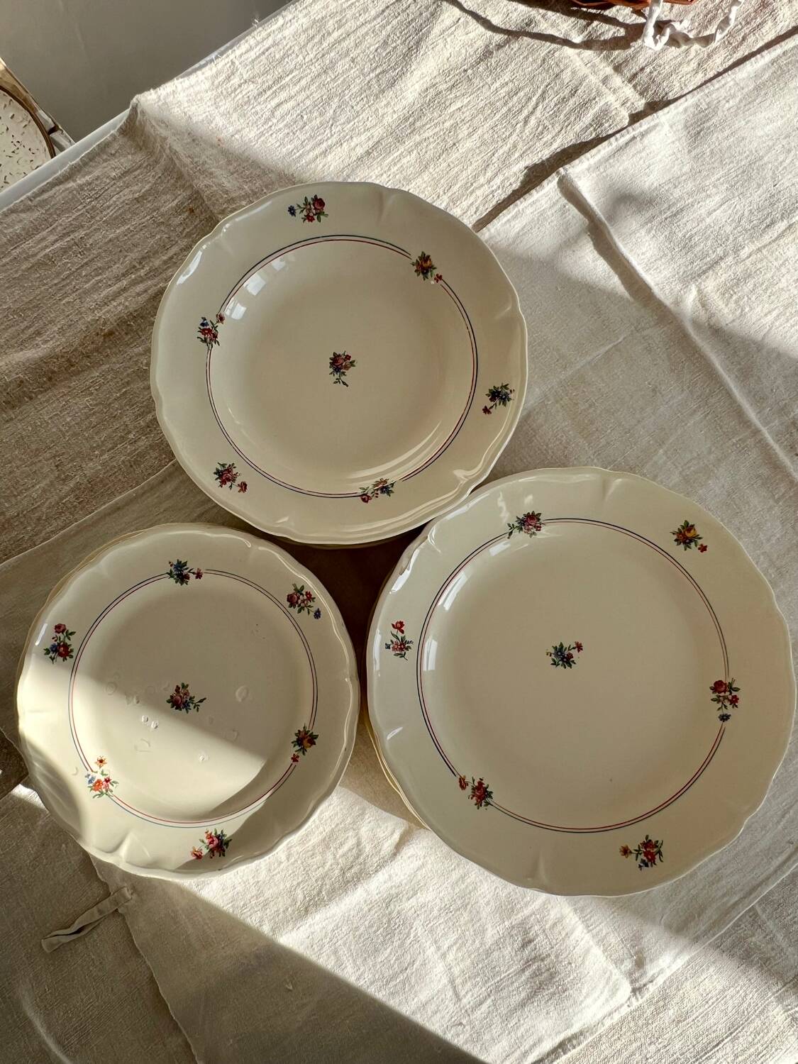 Set of 12 mdl plates - beauce model