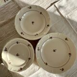 Set of 12 mdl plates - beauce model