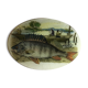 John Derian Company Collectible Plate