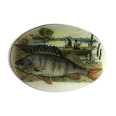 Assiette de collection John Derian Company