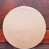 Round frame butterflies naturalized