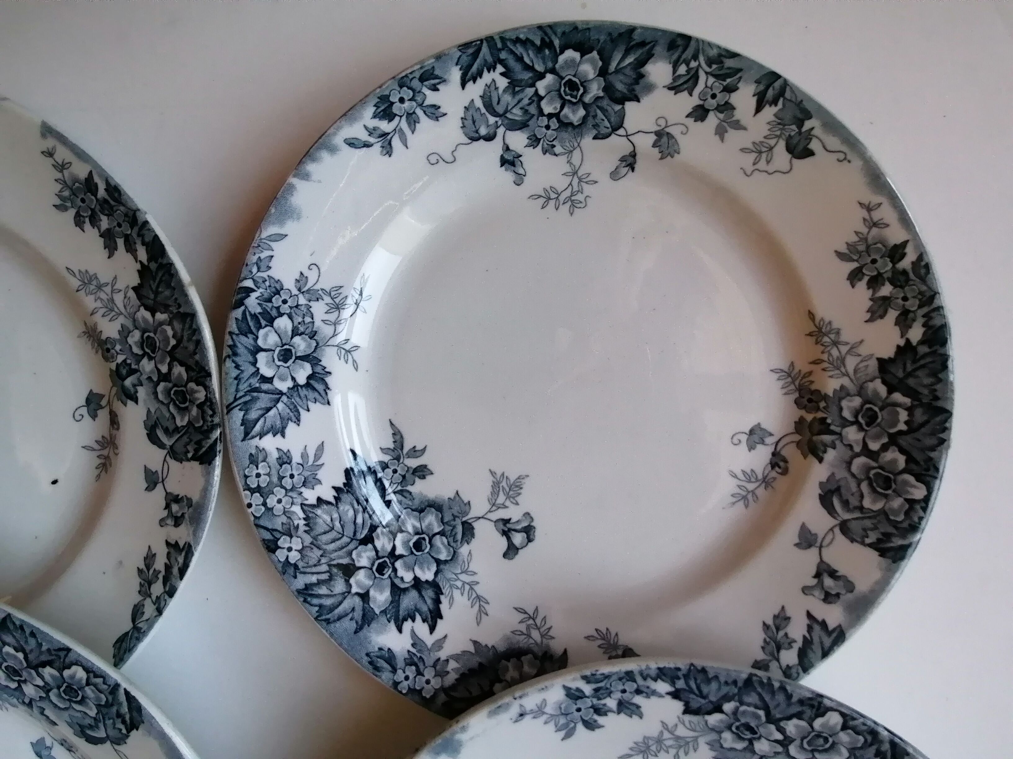 6 plates earth of iron blue and white mill of wolves