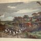 Gravure anglaise de chasse à courre et chien de chasse
